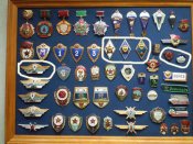 P8160257-к.jpg