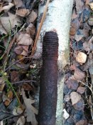 WP_002161.jpg