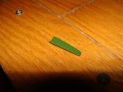 DSC09429.JPG