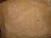 DSC01172.JPG