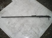CIMG4386.JPG