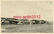 IL-2 Sturmovik 4.JPG