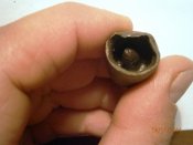 PB190028.JPG