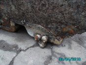 IMG_2292.jpg