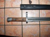 mini-P1010054.JPG