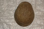 DSC07528.JPG