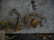 DSCN1981.JPG