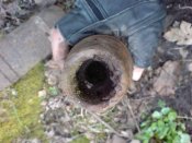 DSC04050.jpg
