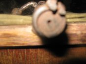 IMG_0434.jpg