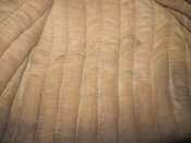 IMG_6991.JPG