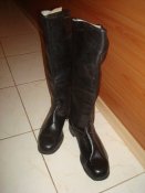 DSC01753.JPG