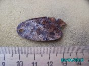 IMG_2389.jpg