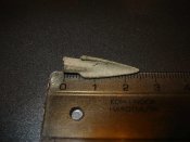 IMG_1517.jpg