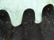 PICT1034.JPG
