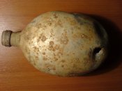 DSC07217.JPG