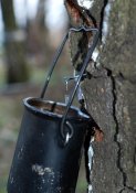 DSC_0139.jpg
