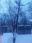 DSC03047.JPG