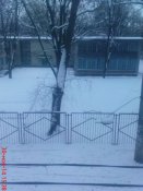 DSC03050.JPG