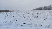 IMG_20141130_110343.jpg
