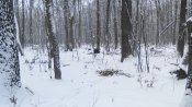IMG_20141130_135926.jpg