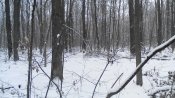 IMG_20141130_135938.jpg