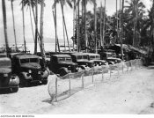 305663_MALAFOERT, HALMAHERA ISLANDS. 1945-11-09.jpg