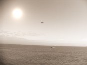 SDC10191.jpg
