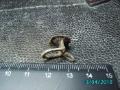IMG_2543.jpg