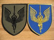 IMG_7010.JPG