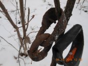 DSCN3542.JPG