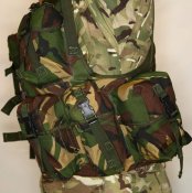 DPM WGO 7 lg.jpg