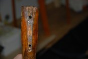 DSC_4776.JPG