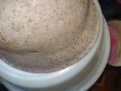 20100415_10.jpg