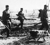 1941_32.jpe