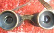 P4150005.jpg