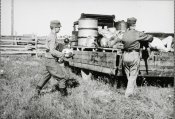 Victims of partisans are being loaded on a truck.jpg