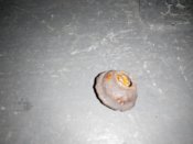 20141208193449.jpg
