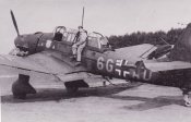 Stuka-_25_.jpg