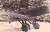 Stuka-_46_.jpg