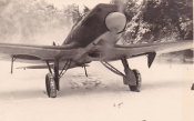 Stuka-_44_.jpg