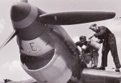 Stuka-_35_.jpg