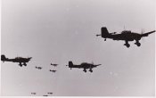 Stuka-_75_.jpg
