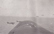 Stuka-_77_.jpg