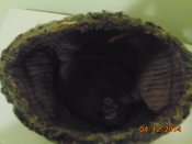 DSC00706.JPG
