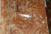 IMG_1107.JPG