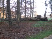 IMG_5500.JPG