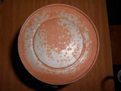 DSCN4450.JPG