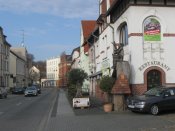 IMG_5559.JPG