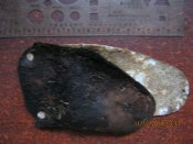 g 003.JPG