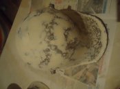 DSC02094.JPG